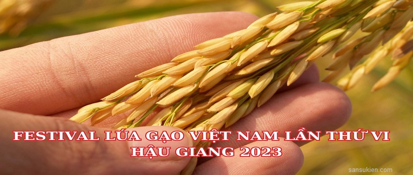 Festival Lúa gạo Việt Nam 2023 lần VI